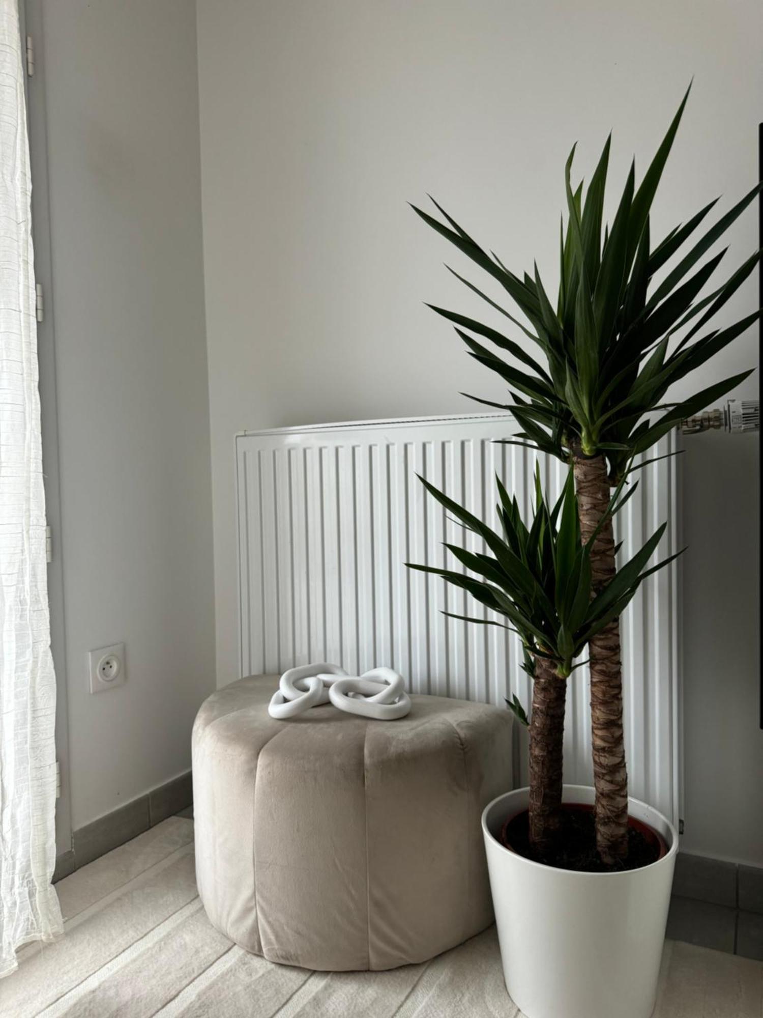 Superbe Appartement - Near Paris Corbeil-Essonnes Dış mekan fotoğraf